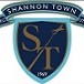 Shannon Town B